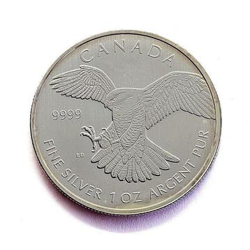 Canada. 5 Dollars 2014 - Peregrine Falcon