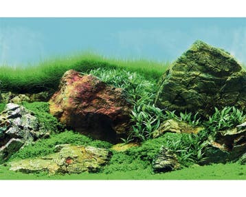 Superfish Deco Poster C, Afmetingen: 120x61 cm, Ophalen of Verzenden, Nieuw