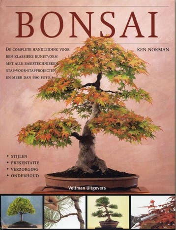 Bonsai - K. Norman 9789059205611, Verzenden, Zo goed als nieuw, K. Norman