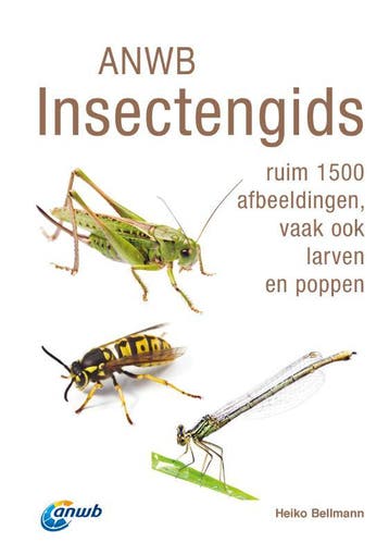 Anwb Insectengids | Heiko Bellmann | Nieuw, Boeken, Ophalen of Verzenden, Nieuw, Heiko Bellmann