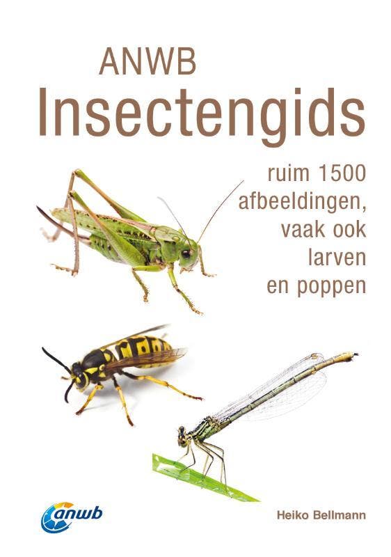 Anwb Insectengids | Heiko Bellmann | Nieuw, Boeken, Overige Boeken, Nieuw, Ophalen of Verzenden