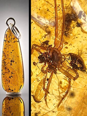 Natuurlijke Baltische amberhanger – Dramatische