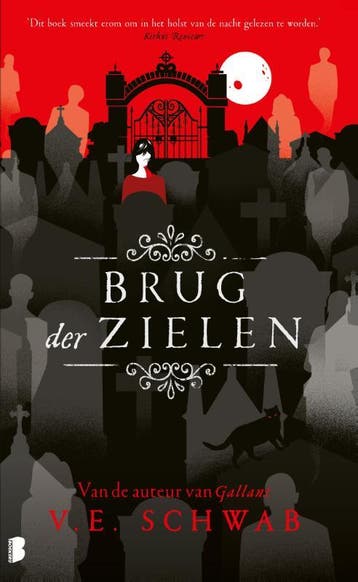 Brug Der Zielen | V.E. Schwab | Nieuw, Ophalen of Verzenden, Nieuw, V.E. Schwab