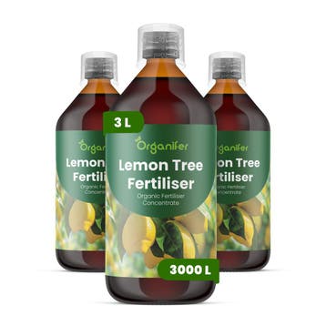 Citroenboom Vloeibare meststof - Set 3x1 liter, Verzenden, Mest