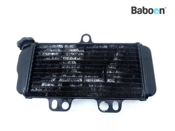 Radiateur Yamaha TDR 125 1997-2002 (5AE 5AN 4GX5-6-7-8-9-A), Verzenden, Gebruikt