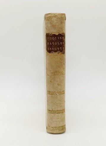 Francesco Puccinotti - Patologia Induttiva - 1828