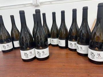 2022 Villa Corniole Pinot Grigio - Wijngaarden van de, Nieuw