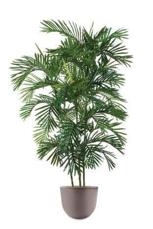 Areca Palm kunstplant, H140cm, Huis en Inrichting, Ophalen of Verzenden, Palm, 150 tot 200 cm