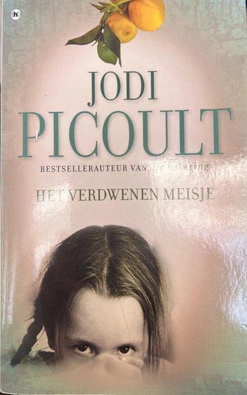 Het verdwenen meisje 9789044337617 Jodi Picoult, Boeken, Verzenden, Gelezen, Jodi Picoult