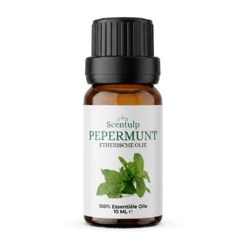 Scentulp pepermuntolie 10 ml, Verzenden, Nieuw