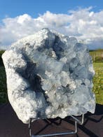 Grote transparante heldere punten Celestine-geode van