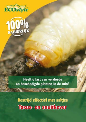 Ecostyle aaltjes h tegen larven taxuskever en larven, Verzenden, Nieuw