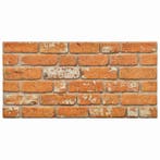 vidaXL Wandpanelen 10 pcs Baksteen 100 x 50 cm EPS-schuim, Verzenden, Nieuw