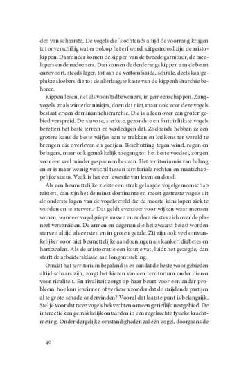 12 regels voor het leven 9789044642292 Jordan Peterson, Boeken, Verzenden, Gelezen, Jordan Peterson