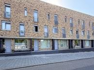 Huis Tamboerijnstraat in Maastricht, Overige soorten, Limburg