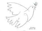 Pablo Picasso (after) - Colombe - Offset Lithography -
