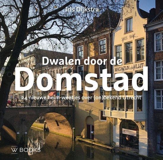Dwalen door de Domstad 9789462587120 Iris Dijkstra, Boeken, Wetenschap, Zo goed als nieuw, Verzenden