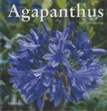 Agapanthus - Hanneke van Dijk 9789058971777, Verzenden, Gelezen, Hanneke van Dijk