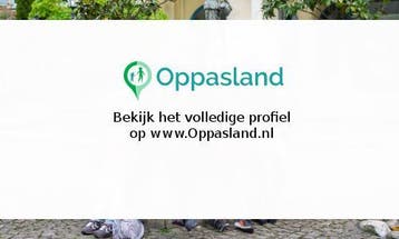 Marieke zoekt een oppas in Leiden voor 3 kinderen voor 4..., Vacatures