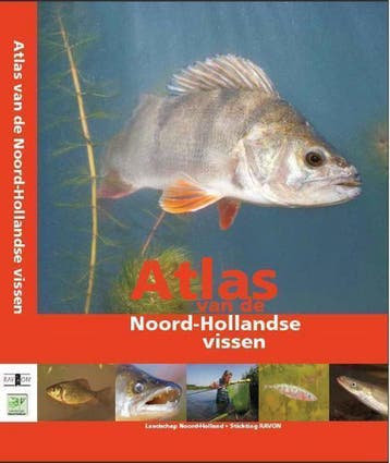 Atlas van de Noord-Hollandse vissen - Dorien Hoogeboom, Verzenden, Gelezen, Dorien Hoogeboom