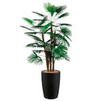 Rhapis Palm kunstplant, H150cm, Huis en Inrichting, Kamerplanten, Ophalen of Verzenden, Palm, 150 tot 200 cm