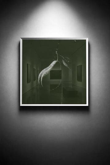 Tijs Dragtsma (1992) - A Pear Held in Green