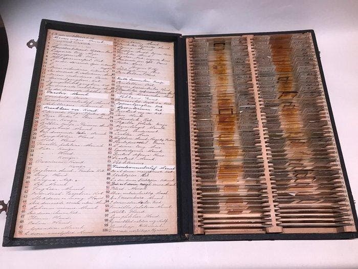 Microscope slide - 1900 - Nederland - J. Franken, Verzamelen, Fotografica en Filmapparatuur