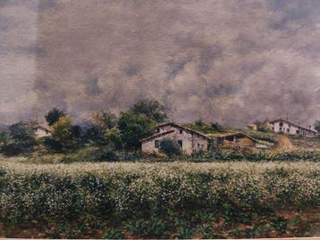 Escuela Impresionista Europea (XX) - El Campo en Verano