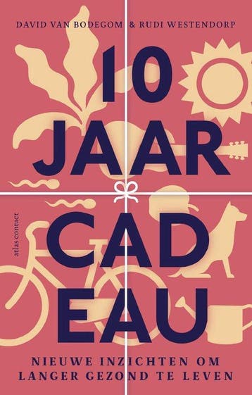 9789045040127 10 jaar cadeau | Tweedehands, Verzenden, Zo goed als nieuw, David van Bodegom
