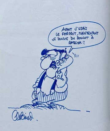 Les Bidochon T17 - Les Bidochons usent le forfait + dédicace, Boeken, Nieuw
