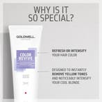 Goldwell Dualsenses Color Revive Shampoo 250ml, Verzenden, Nieuw