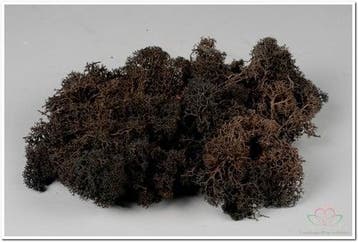 Rendiermos IJslandsmos Finlandsmos Zwart 500 gram, Ophalen of Verzenden, Nieuw