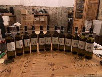 2025 Antonelli, Montefalco Grechetto - Umbrië DOC - 12 Fles, Nieuw