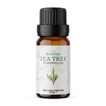 Scentulp Tea Tree olie 10 ml, Verzenden, Nieuw