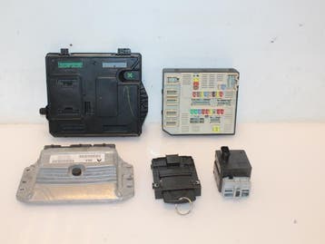 Computer Motormanagement Renault Megane O151132, Ophalen of Verzenden, Nieuw