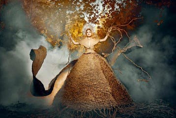 Elena Paraskeva - Forests, Our Martyrs - XL