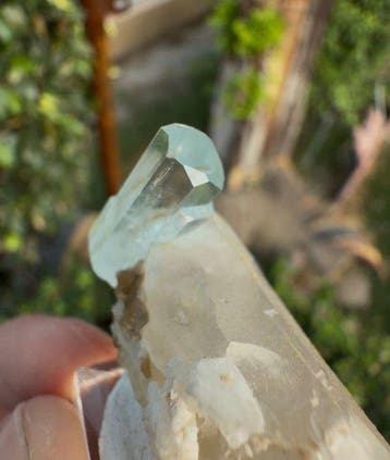 Blauwe aquamarijnkristal met beëindigde punten op rookkwarts