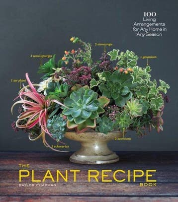 The Plant Recipe Book - Baylor Chapman 9781579655518, Verzenden, Gelezen, Baylor Chapman