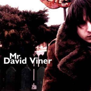 cd - Mr. David Viner - Mr. David Viner, Verzenden, Zo goed als nieuw