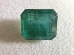 1 pcs Smaragd - 8.10 ct - International Gemological, Nieuw