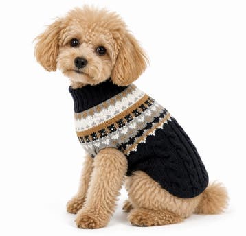 Hondentrui Noors voor kleine honden Navy (Truien), Ophalen of Verzenden, Nieuw, Hondenvest
