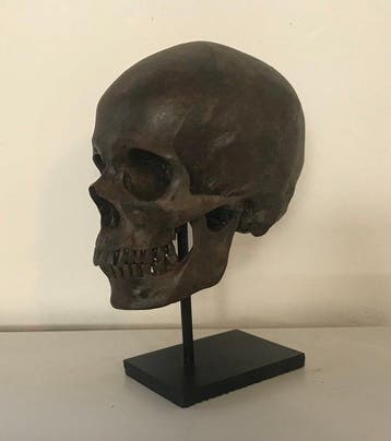 Beeld, NO RESERVE PRICE - Human Skull Replica on custom