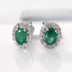 Zonder minimumprijs - Oorbellen - 14 karaat Zambia, Witgoud, Nieuw