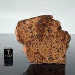 Diogenita NWA 14056 meteoriet van VESTA, asteroïde, - 32 g