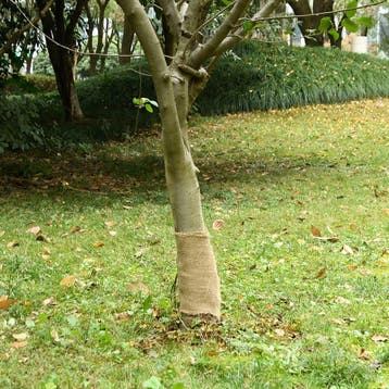 vidaXL Jute rol 200 g/m² 0,25x10 m 100% jute, Verzenden, Nieuw