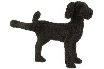 Hond Max Poly Zwart, Verzenden, Nieuw