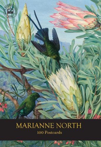 Marianne North 100 Postcards, Verzenden, Nieuw