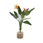 Green Bubble - Strelitzia Reginae Kunstplant - 100cm - Ø, Ophalen of Verzenden, Nieuw, Binnen