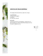 Wildplukken 9789020917079 Leoniek Bontje, Verzenden, Zo goed als nieuw, Leoniek Bontje