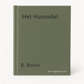 Het Hunzedal - B. Boivin 9789080344778, Verzenden, Zo goed als nieuw, B. Boivin